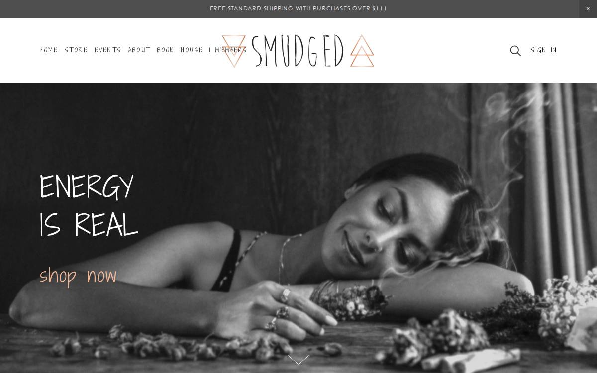 Smudged website preview
