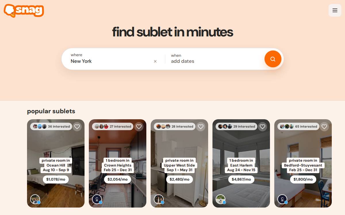 Snag website preview