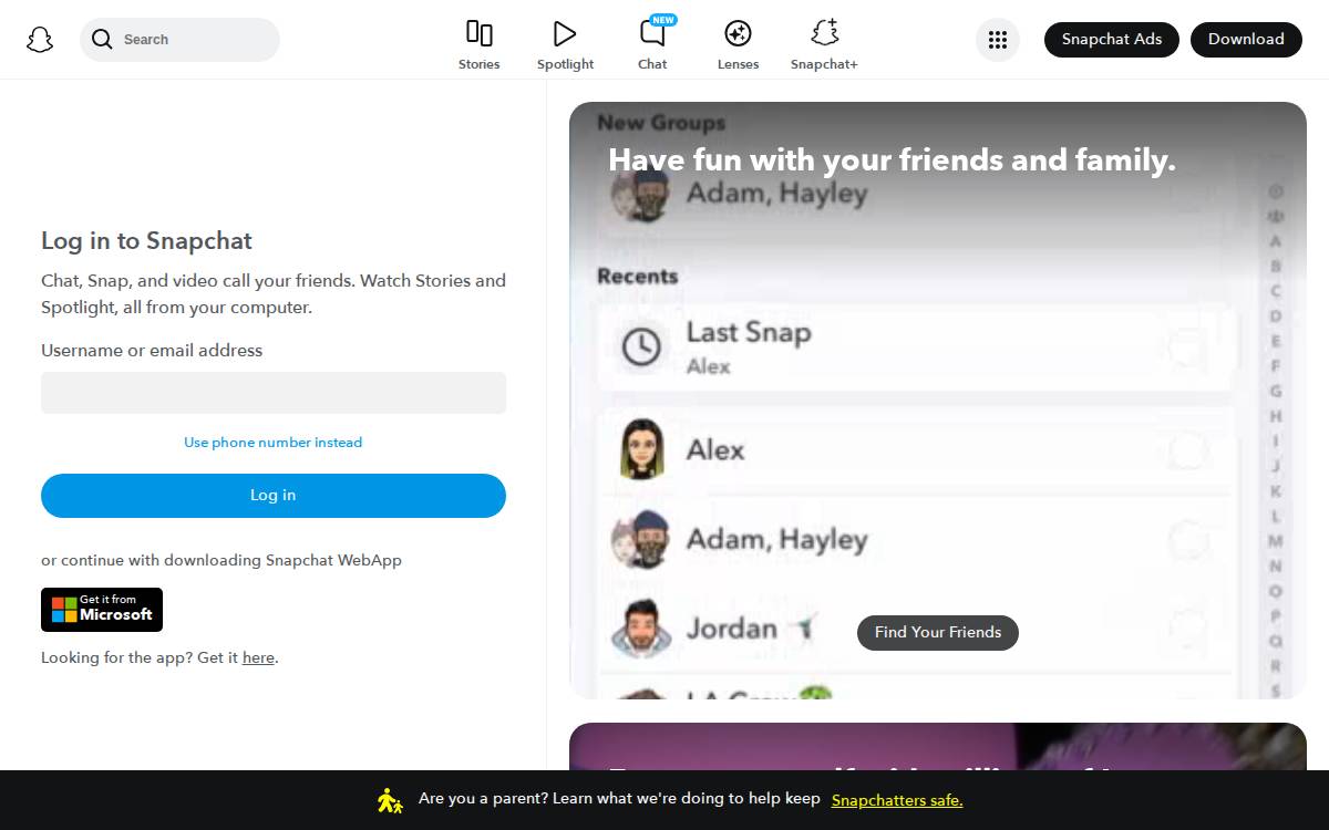 Snap website preview