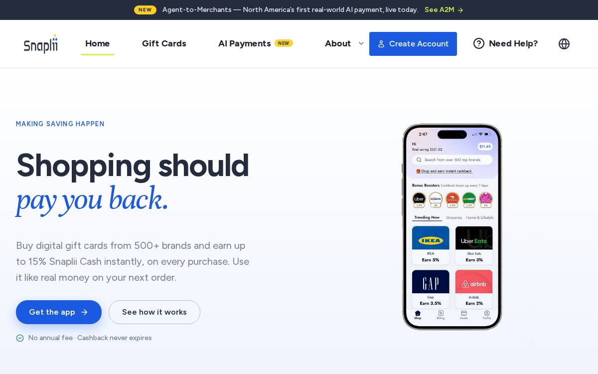 Snaplii website preview