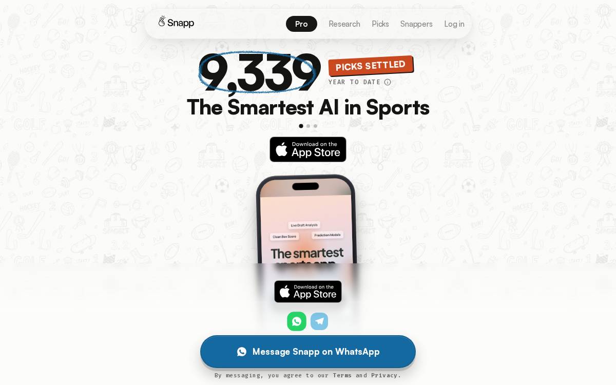 Snapp website preview
