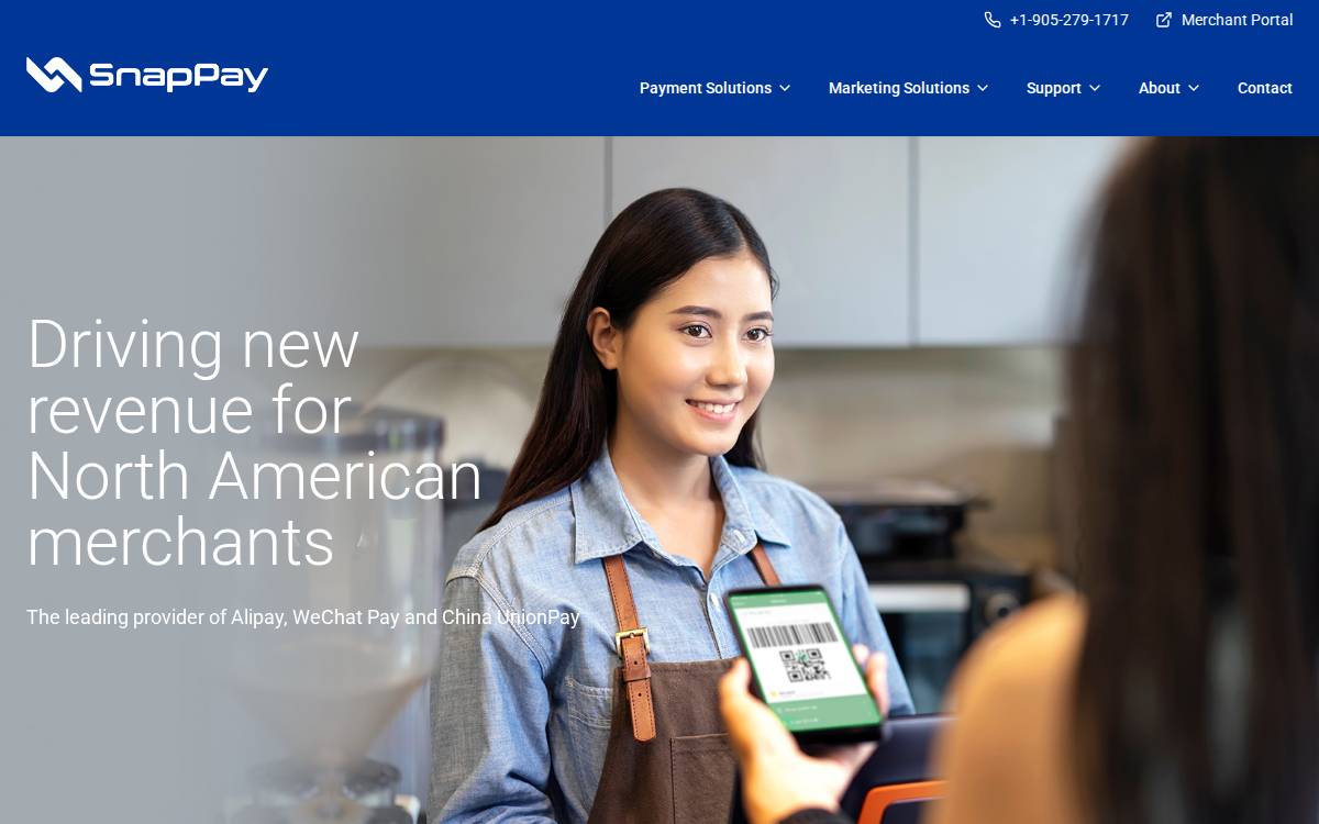 SnapPay website preview
