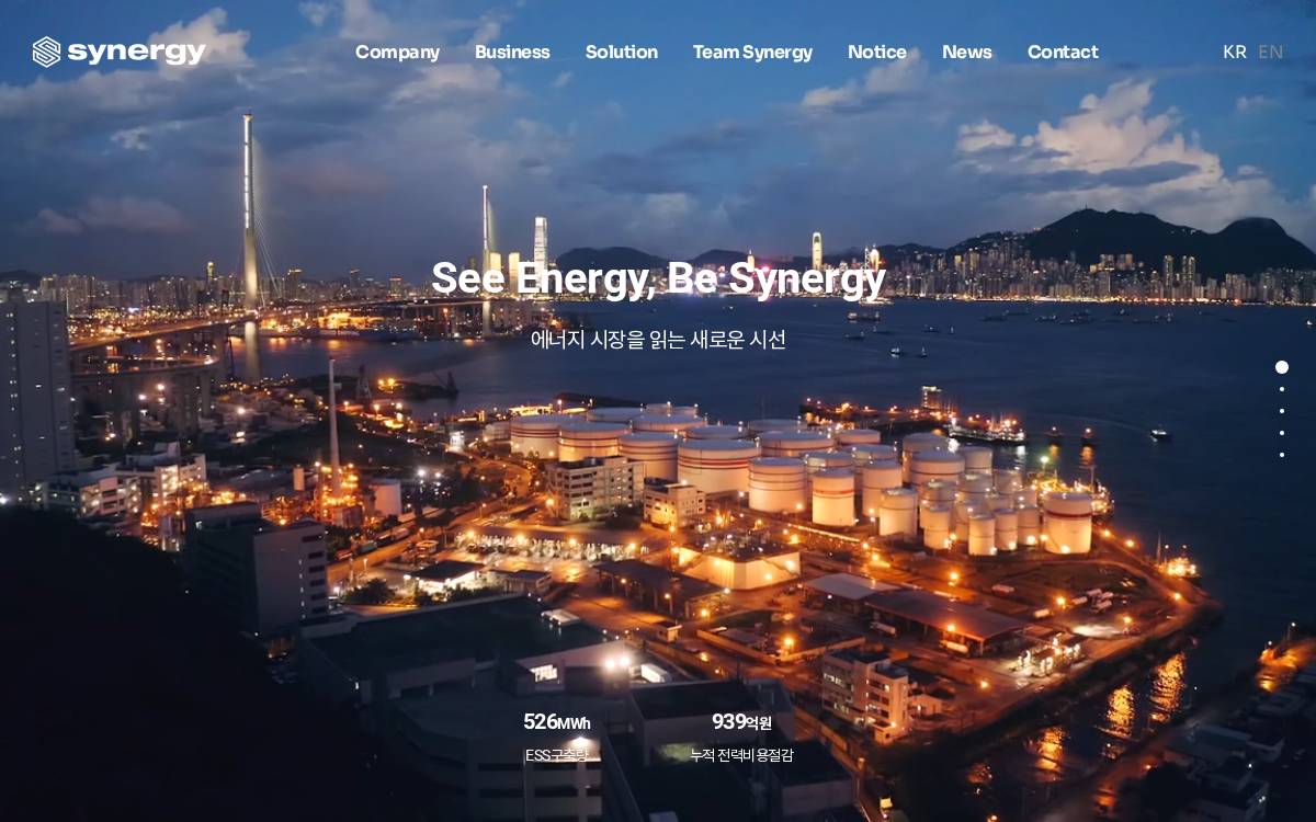 Sngy website preview