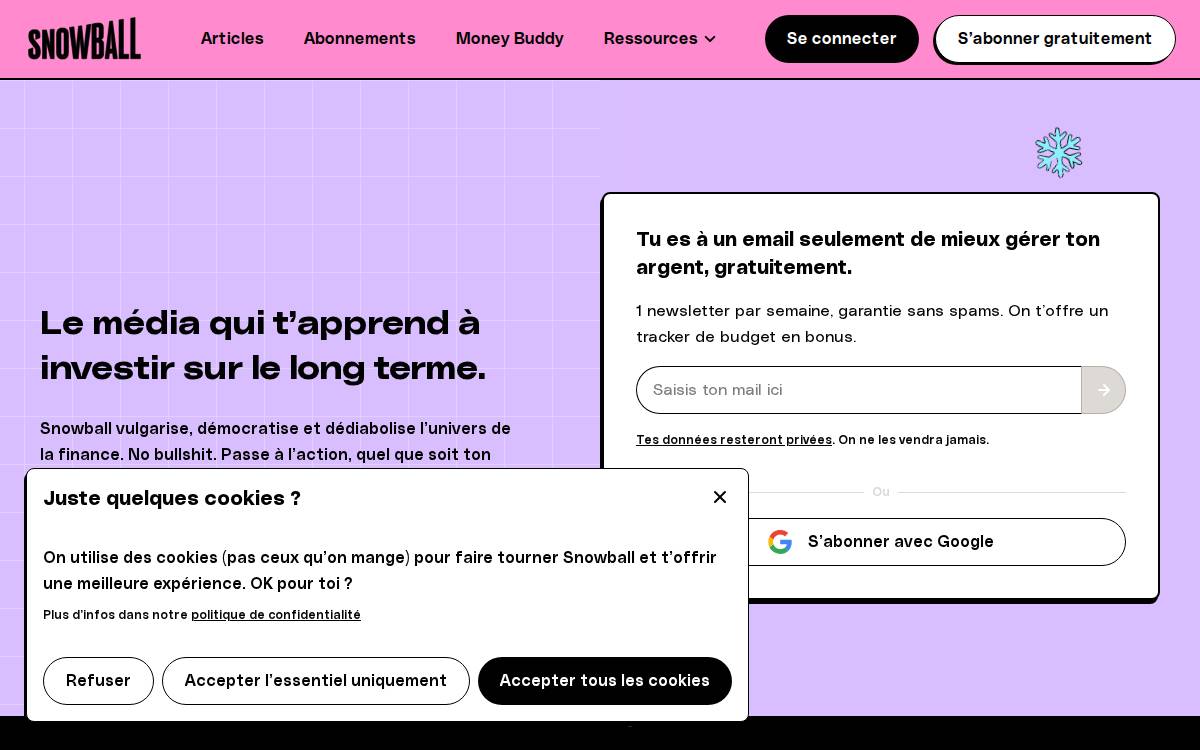 Snowball Financial education website preview