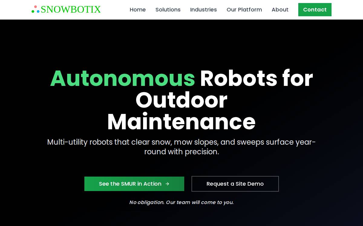 Snowbotix website preview