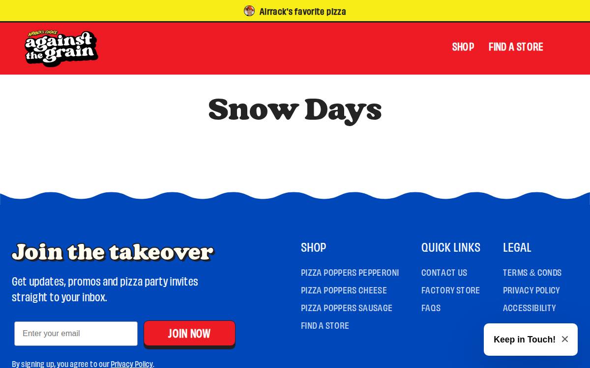 Snow Days website preview
