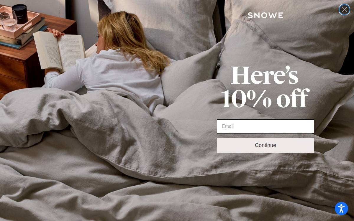 Snowe website preview