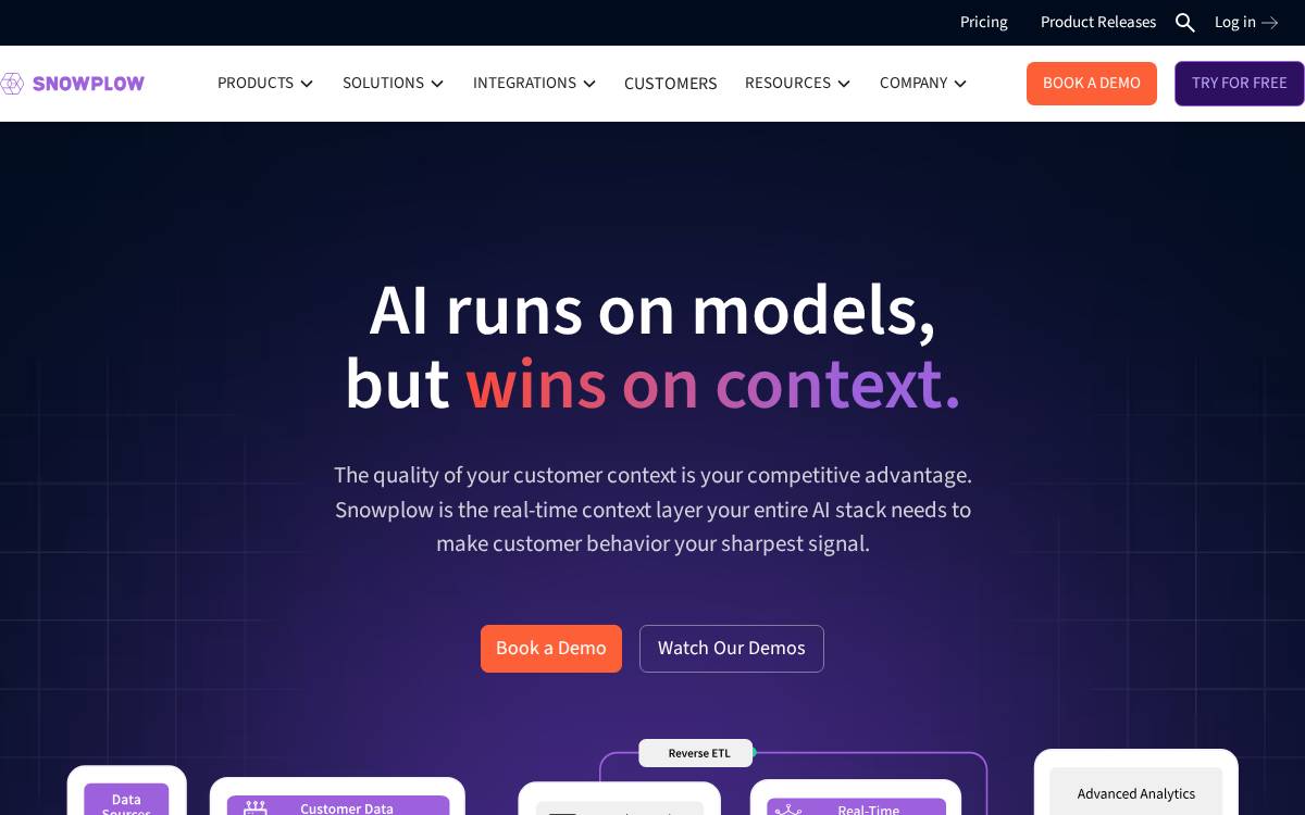 Snowplow website preview