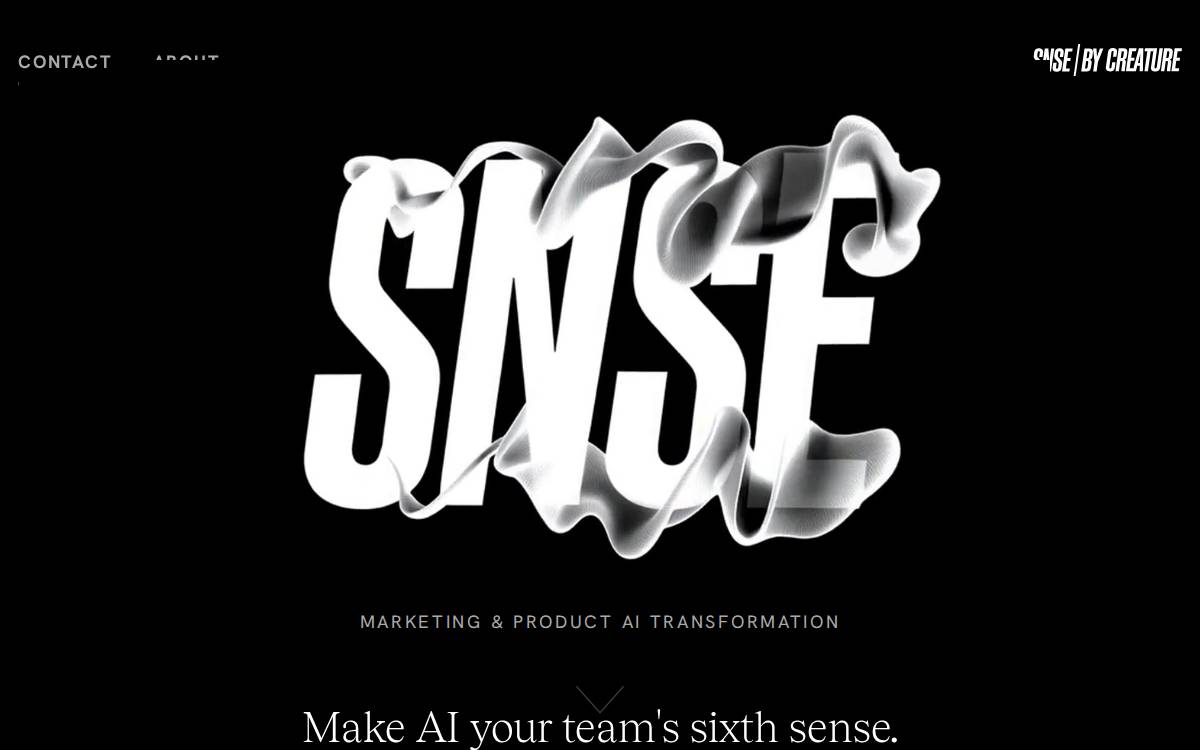 SNSE website preview