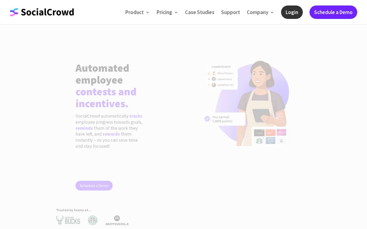 Social Crowd website preview