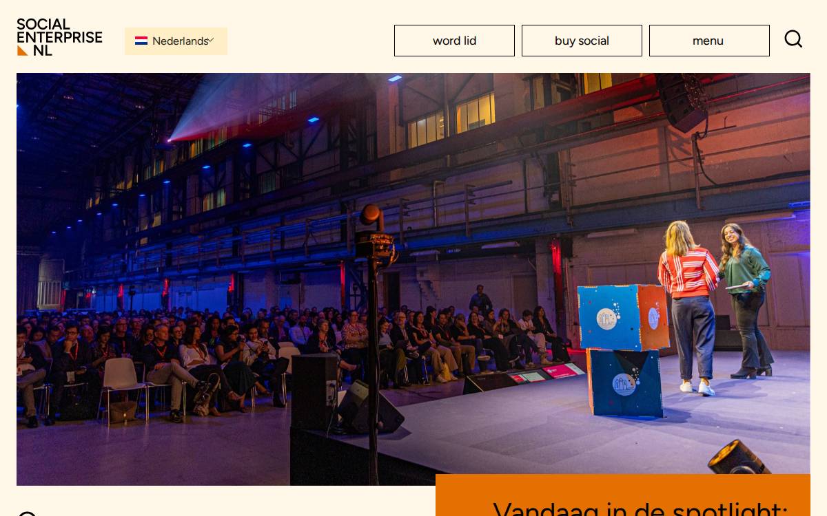 Social Enterprise website preview