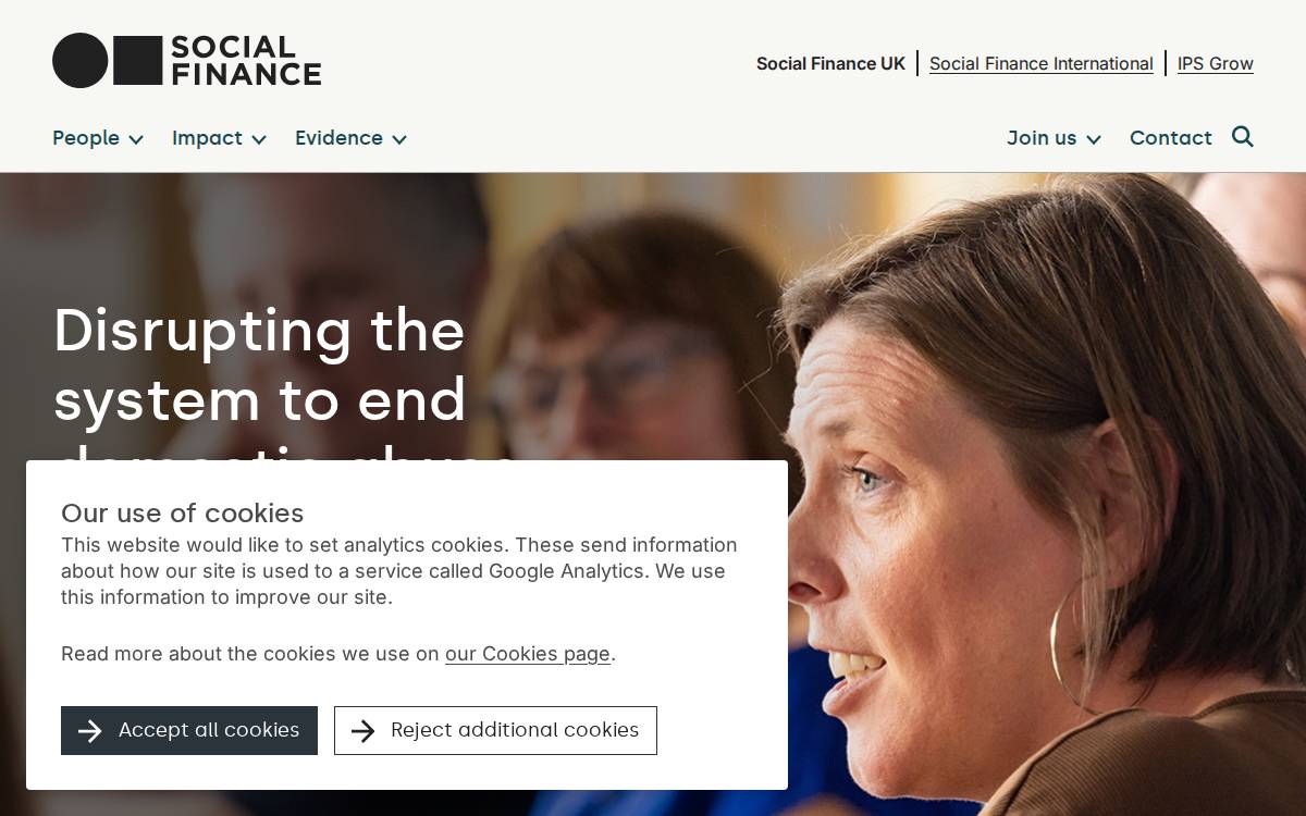 Social Finance website preview