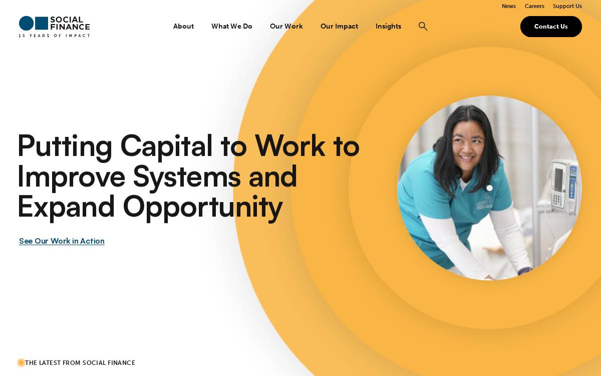 Social Finance website preview