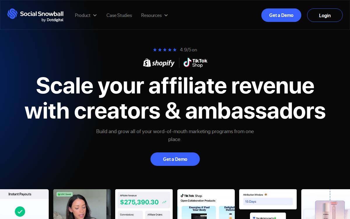 Social Snowball website preview