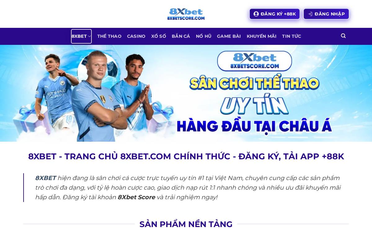Socian Technologies website preview