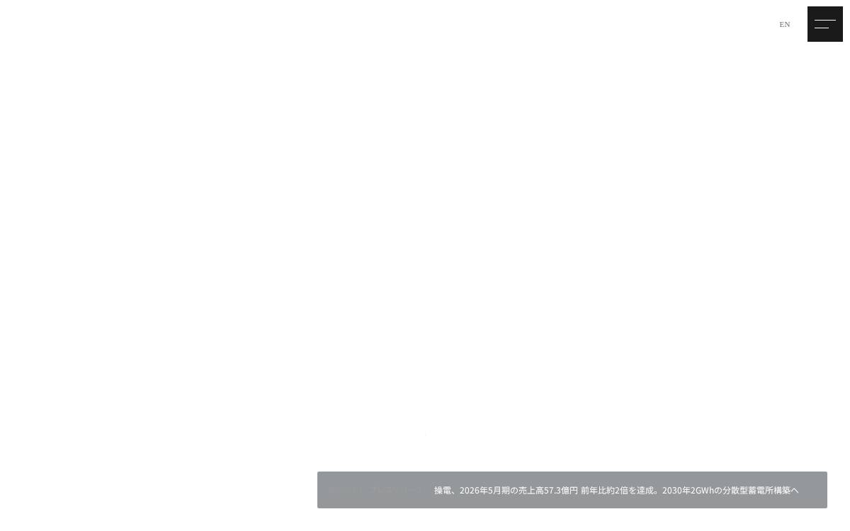 SODEN website preview