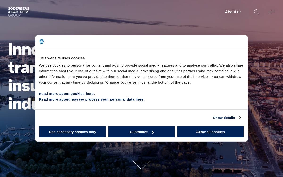 Soderberg & Partners website preview