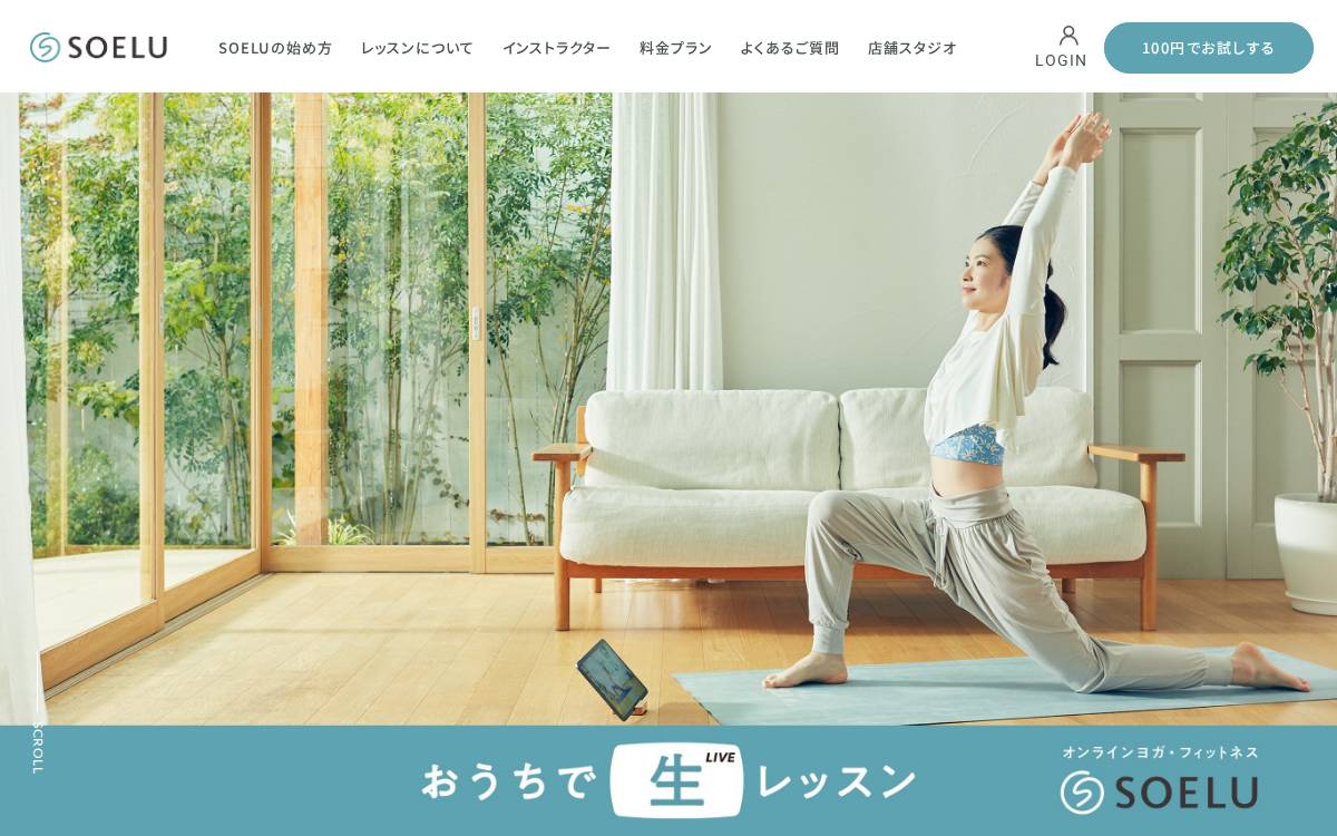 SOELU株式会社 website preview