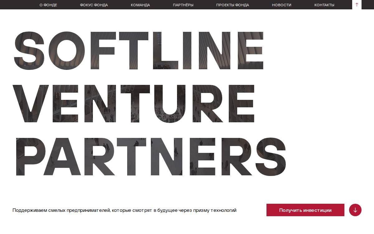 Softlinevp website preview