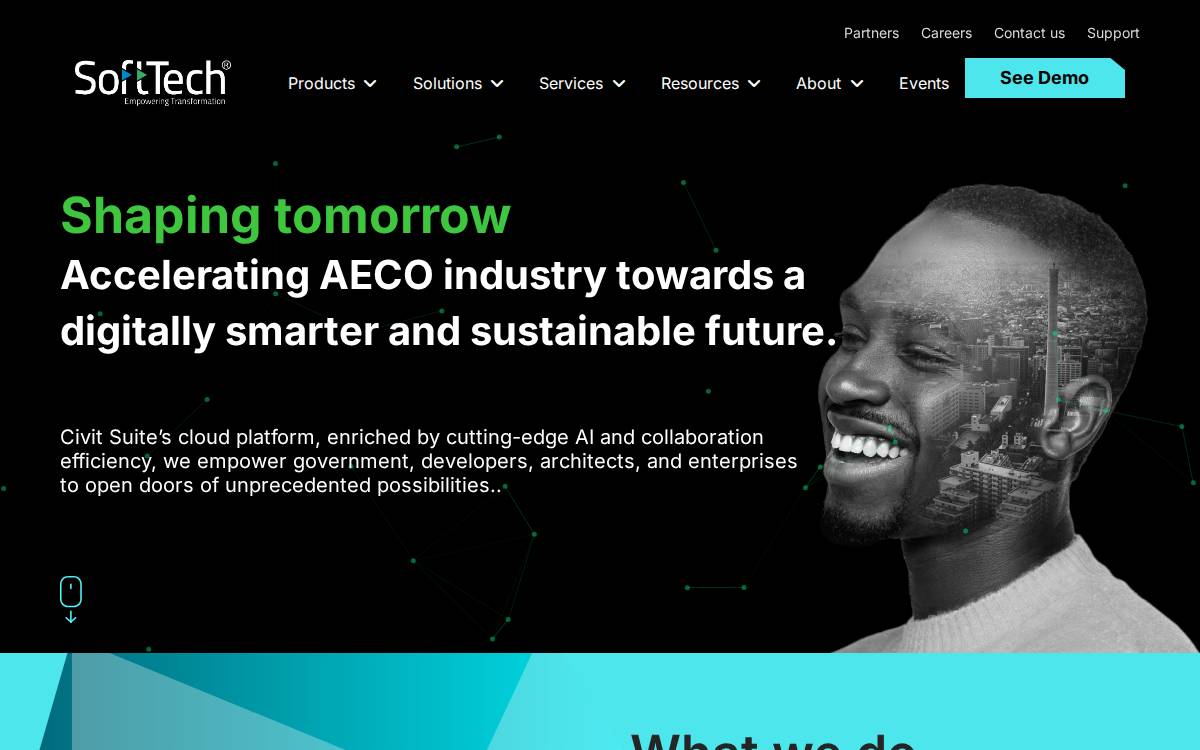 SoftTech website preview