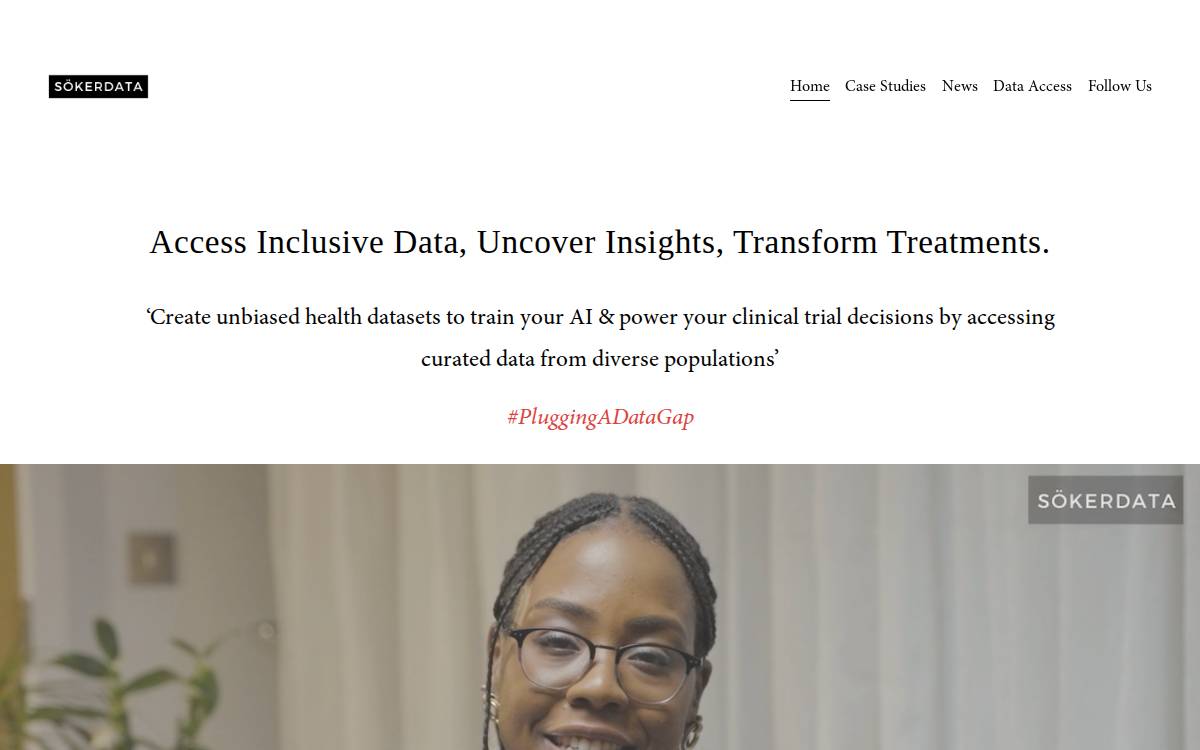 SökerData website preview