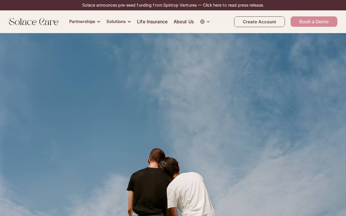 Solace website preview