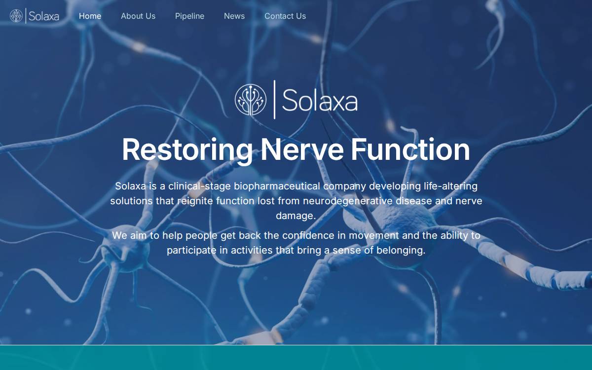 Solaxa website preview