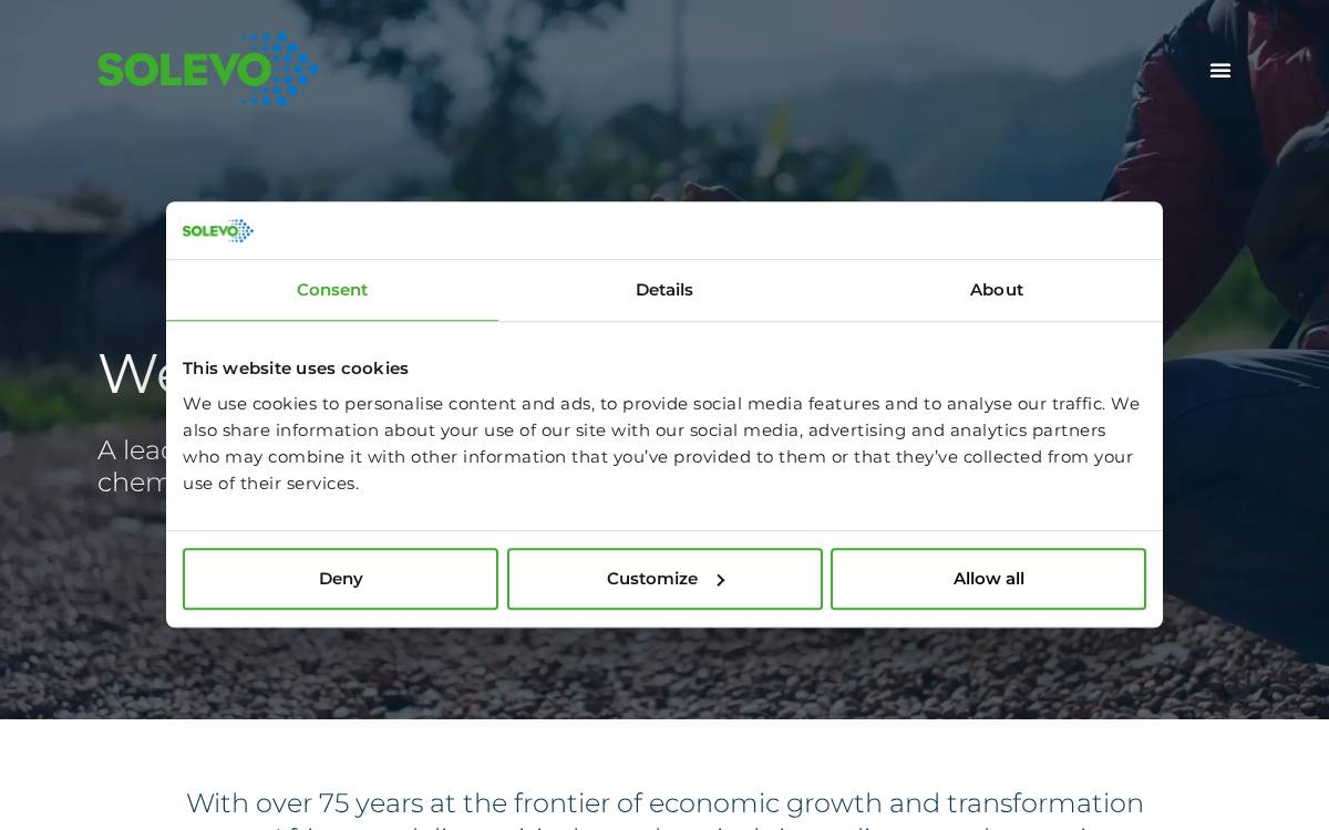 Solevogroup website preview