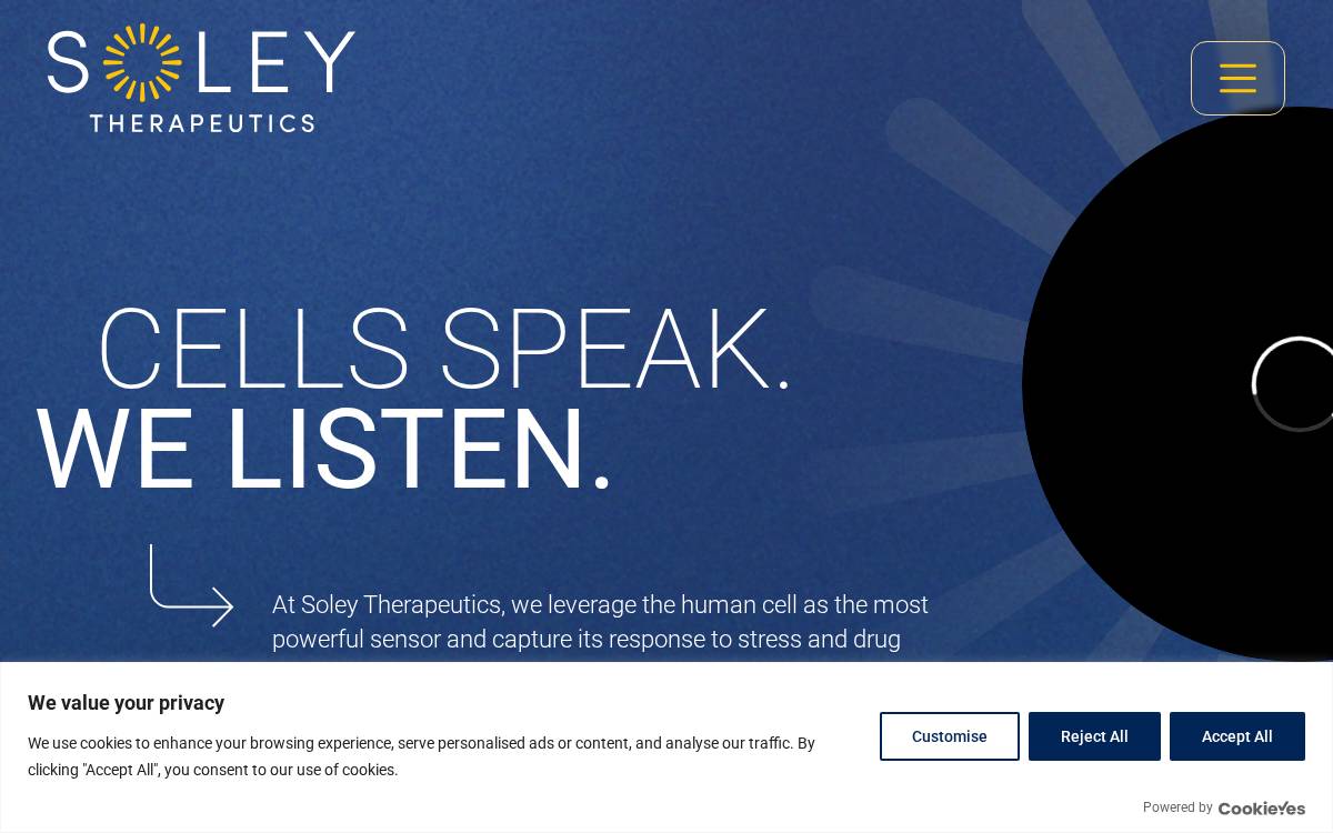 Soley website preview