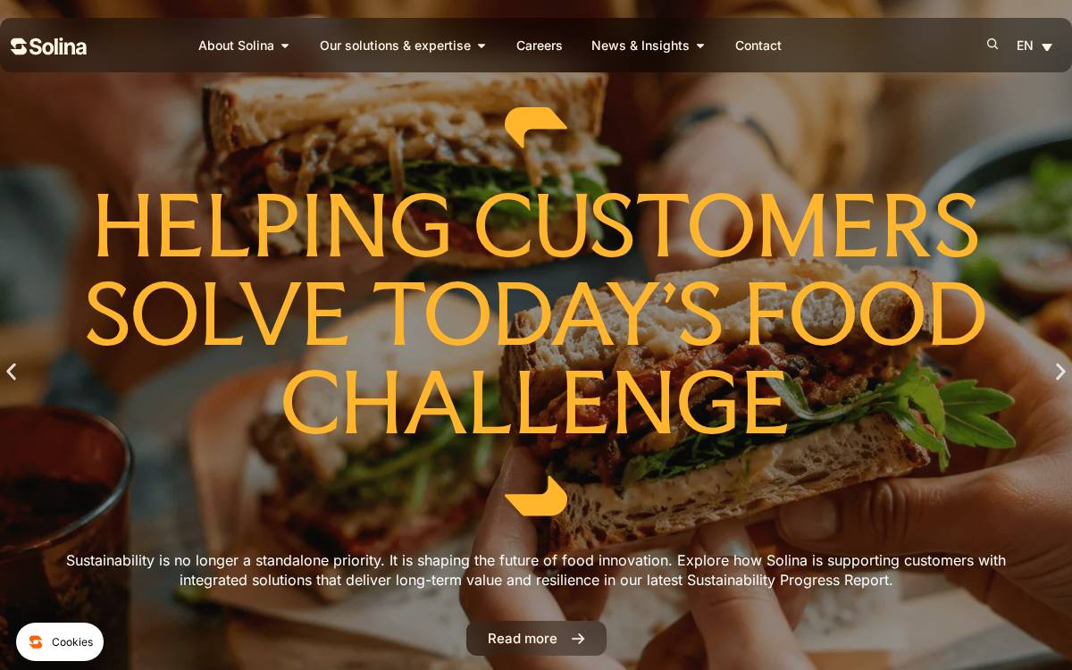 Solina website preview