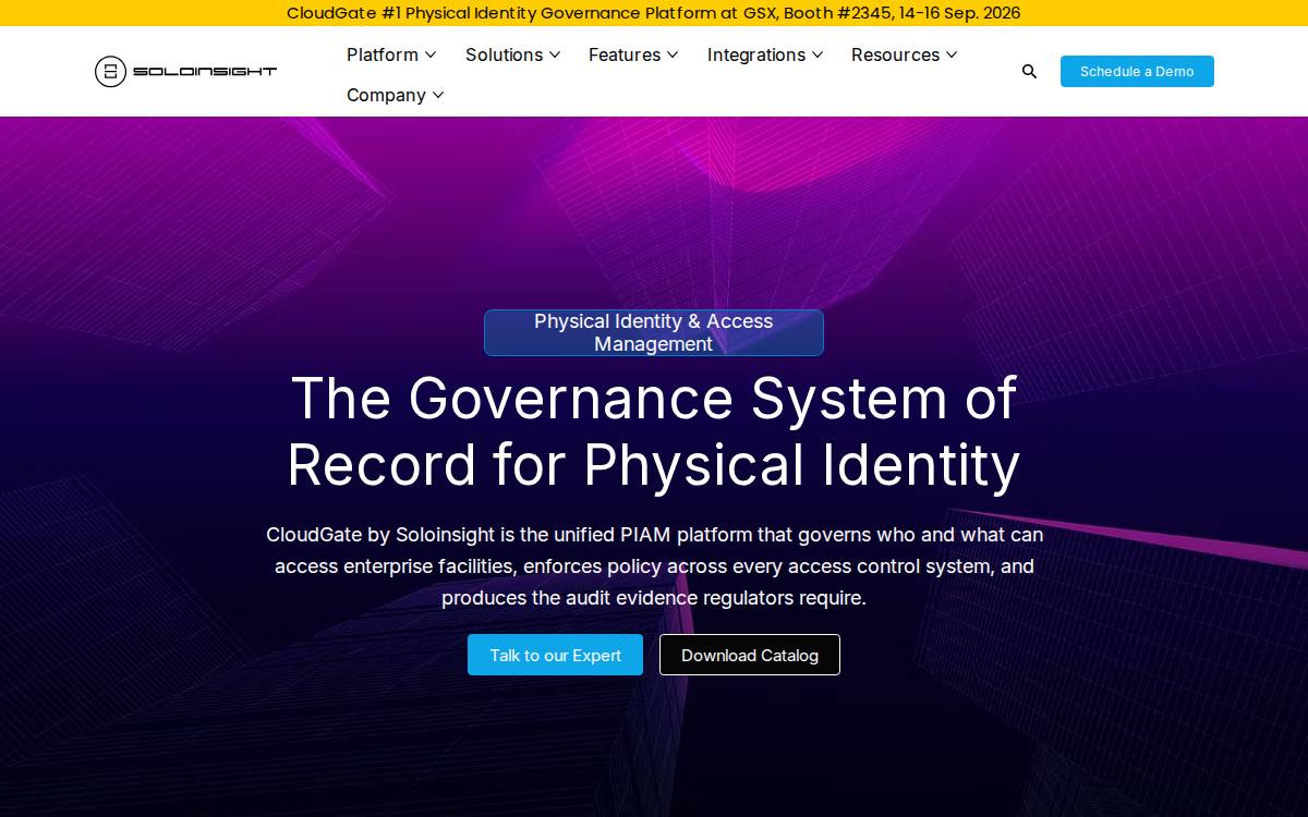 Soloinsight website preview