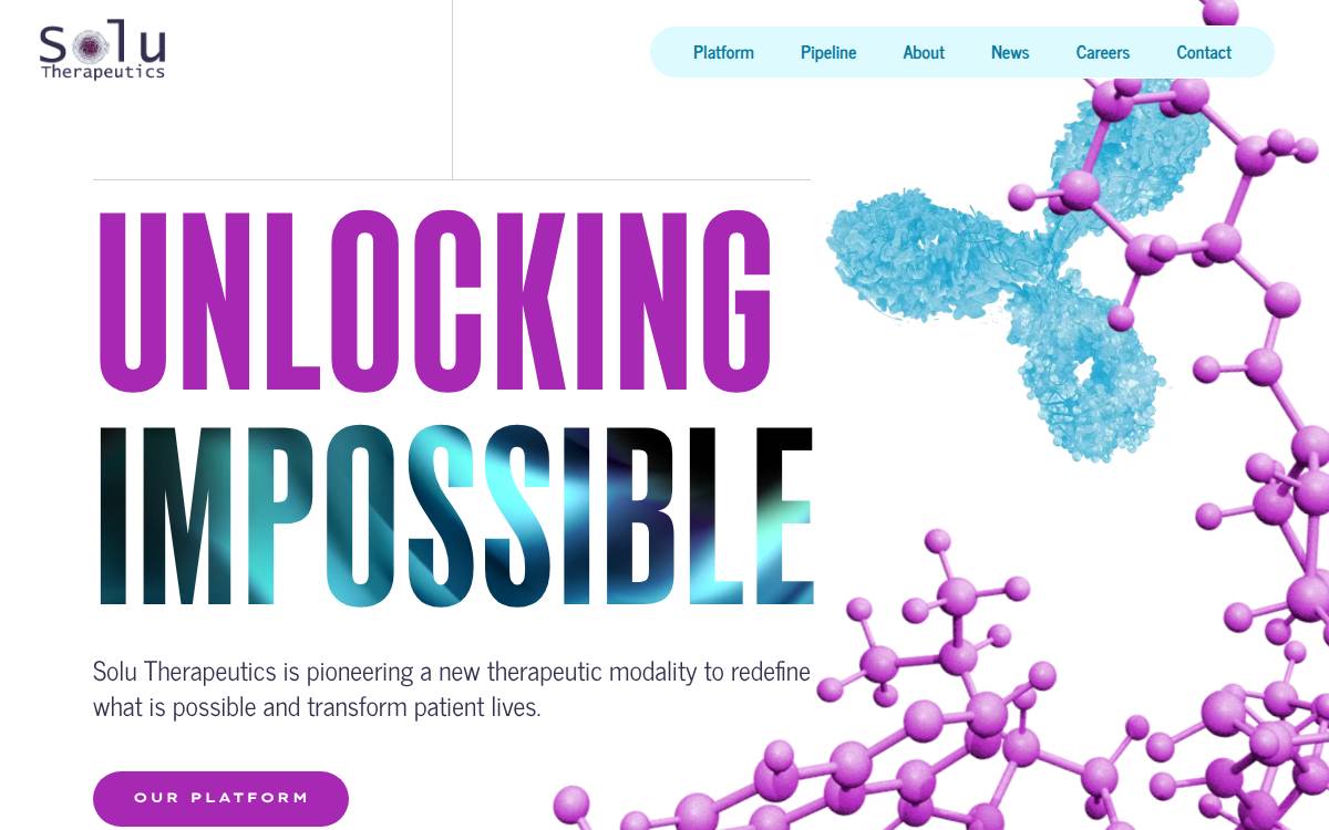 Solu website preview