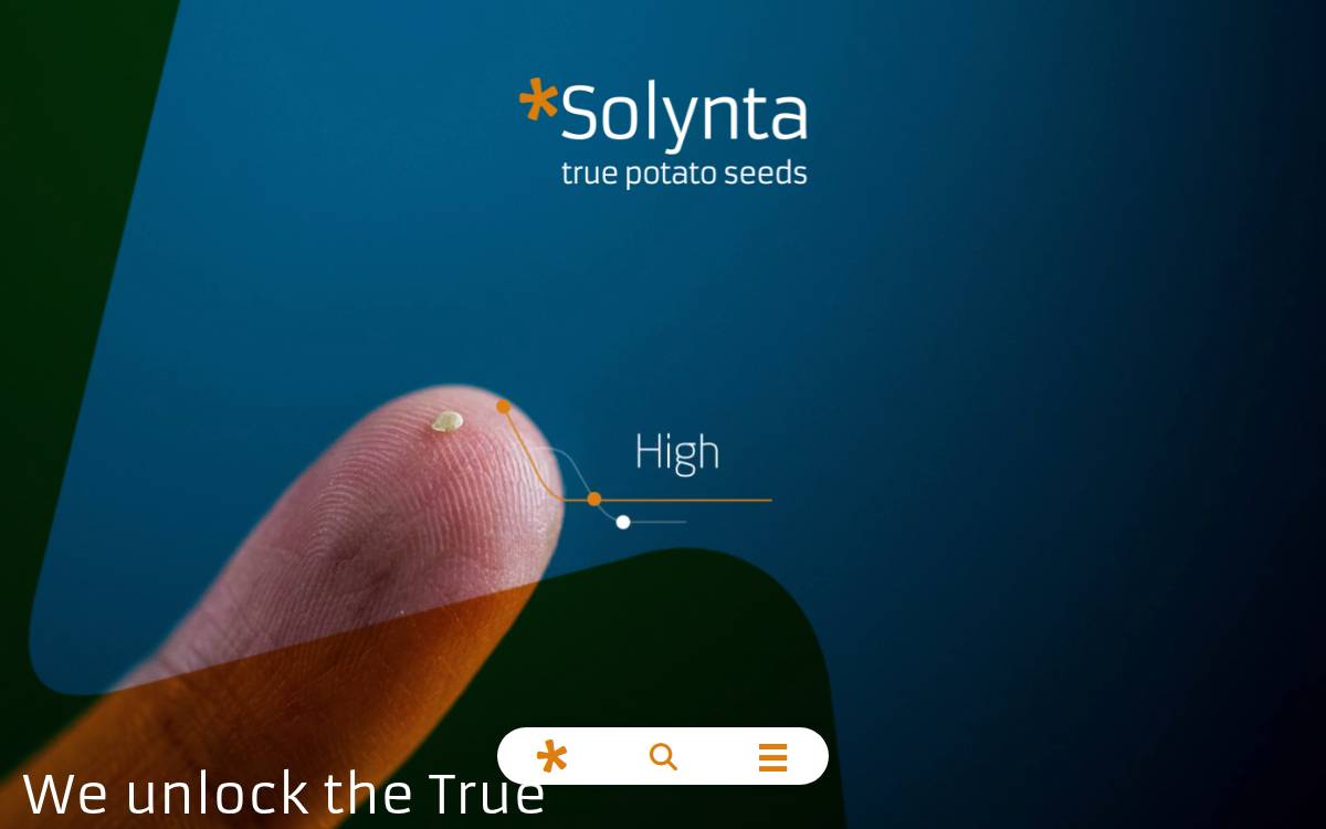 Solynta website preview