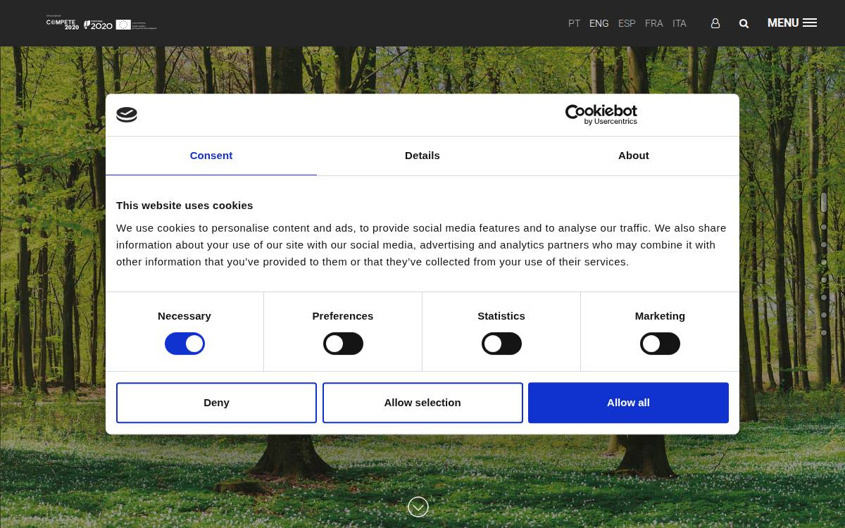 Solzaima website preview