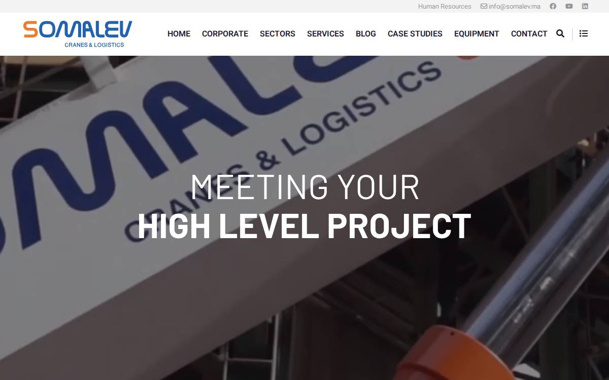 Somalev website preview