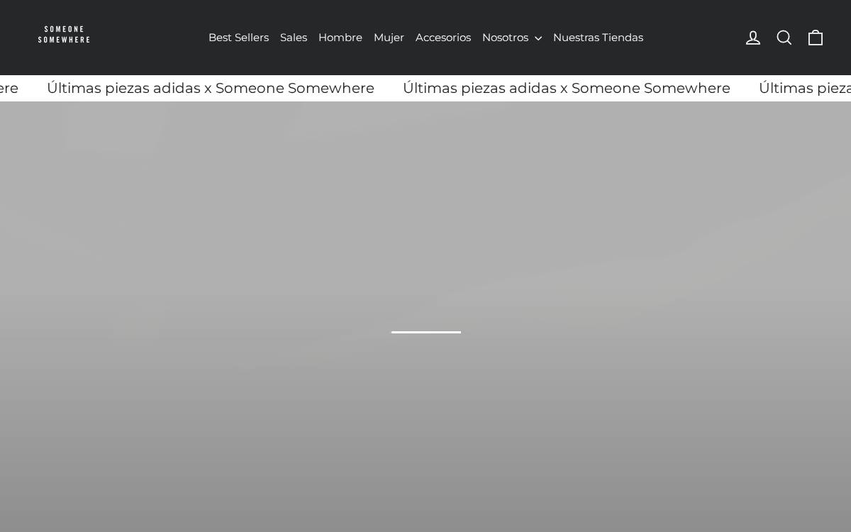 Someone website preview
