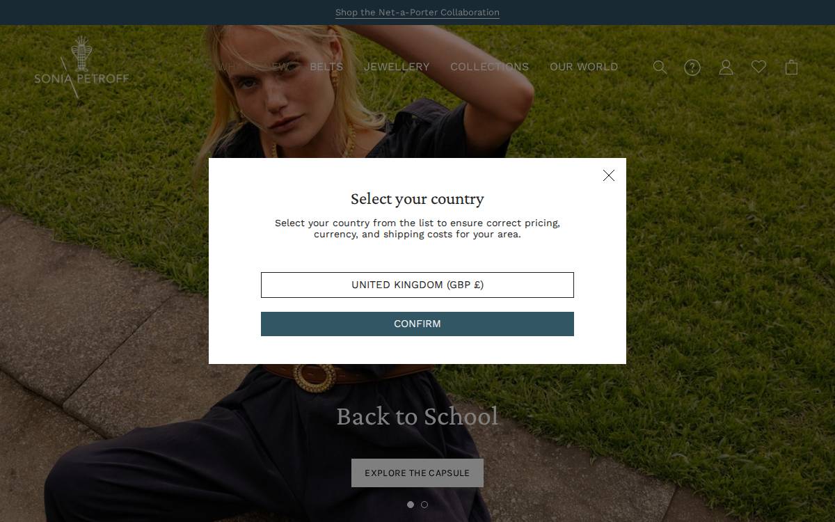 Sonia Petroff website preview