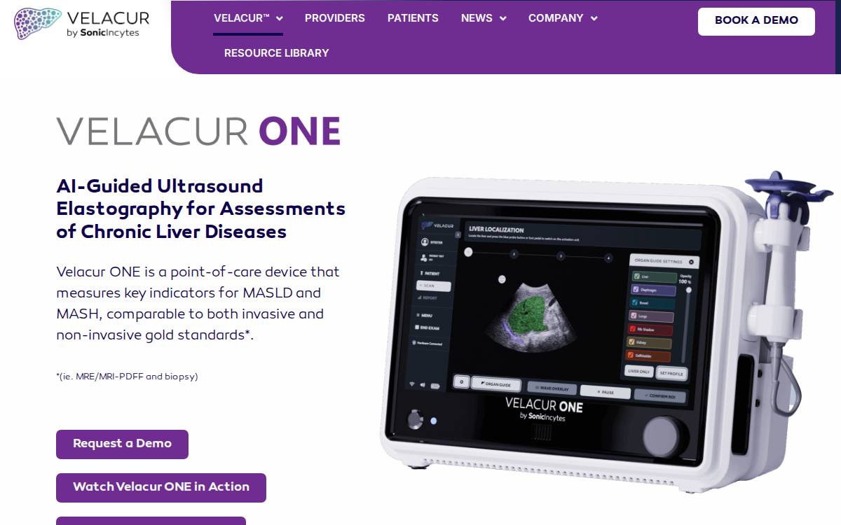 Sonic Incytes website preview