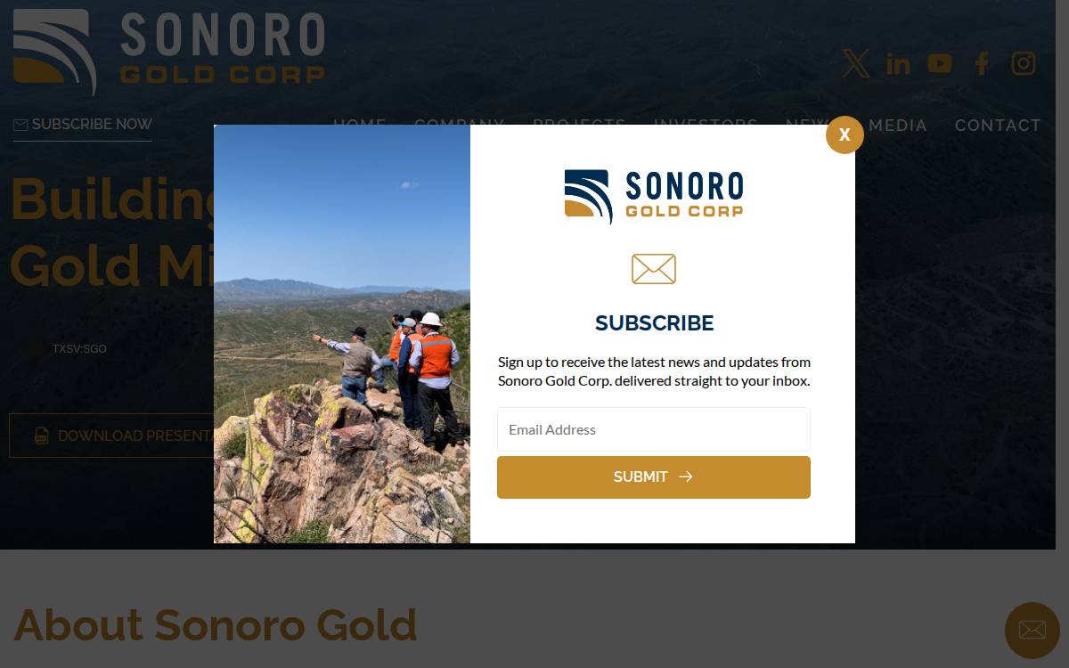 Sonoro Gold website preview