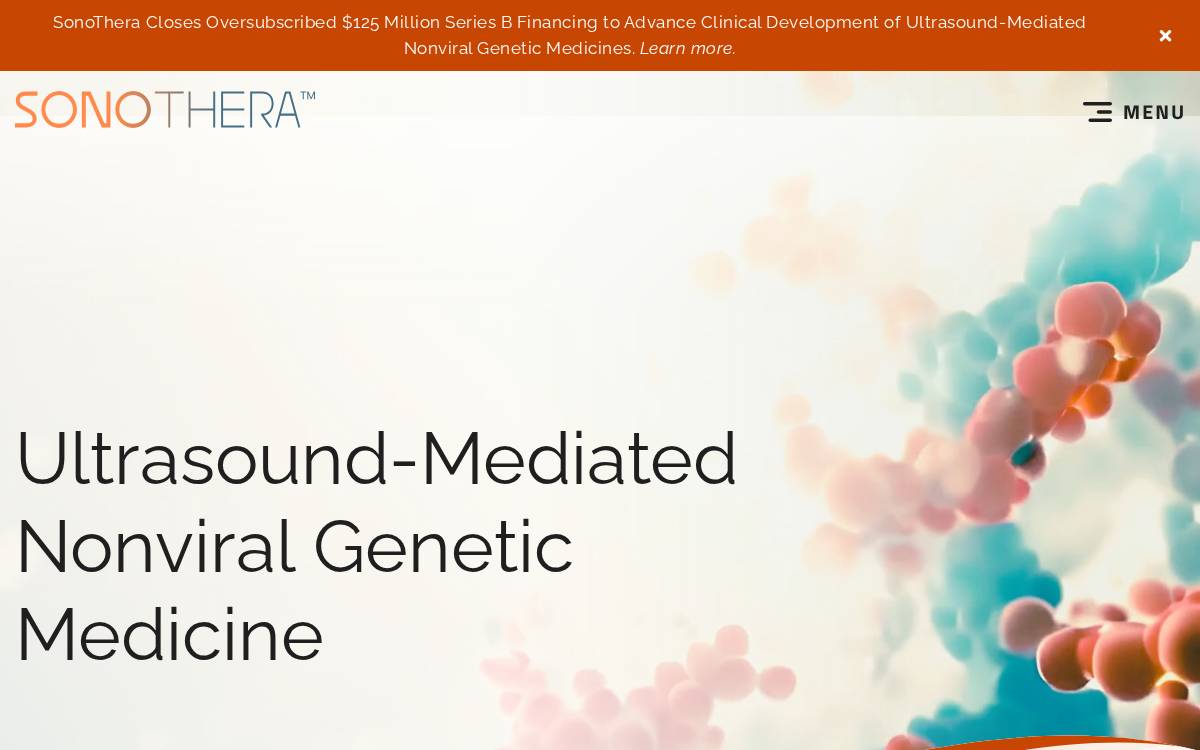 SonoThera website preview