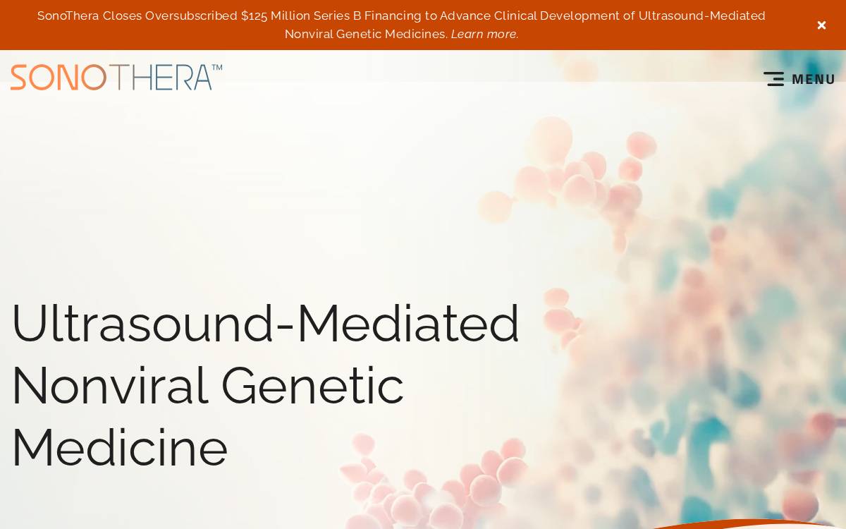 SonoThera website preview