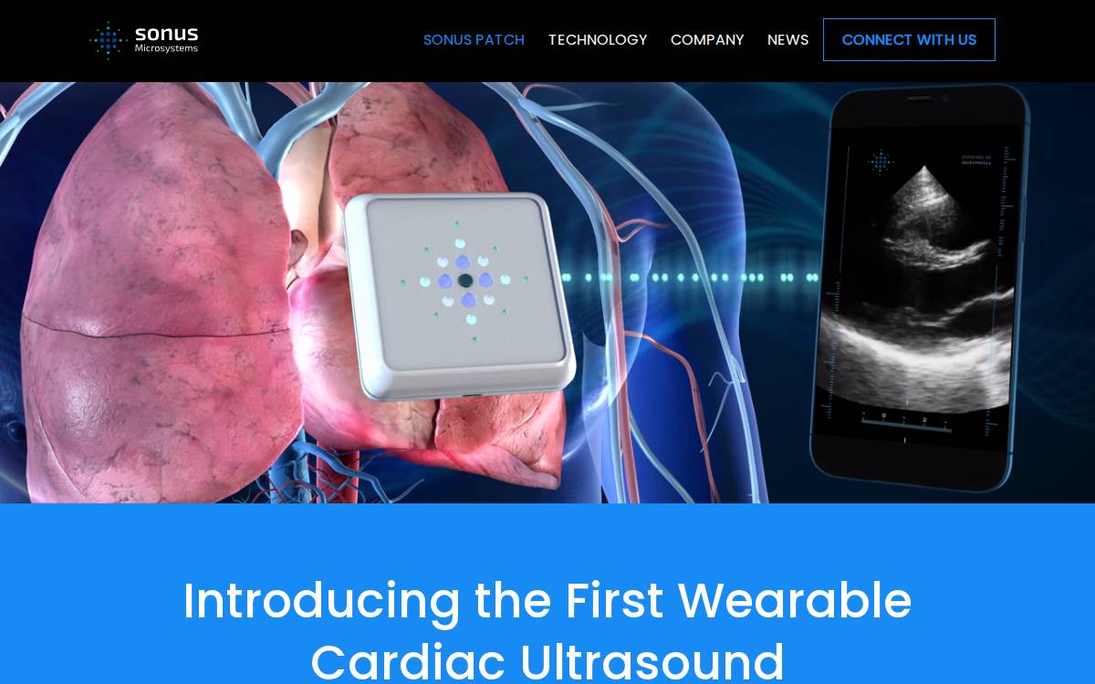 Sonus Microsystems website preview