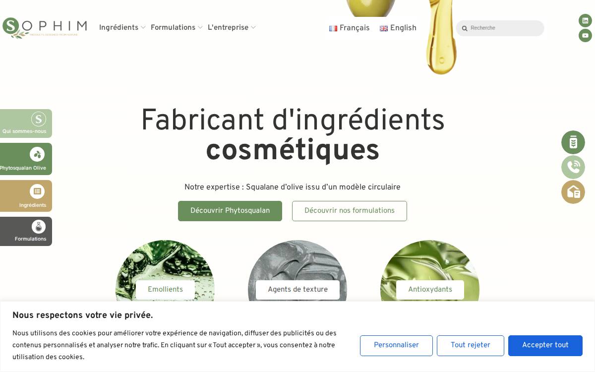 Sophim website preview