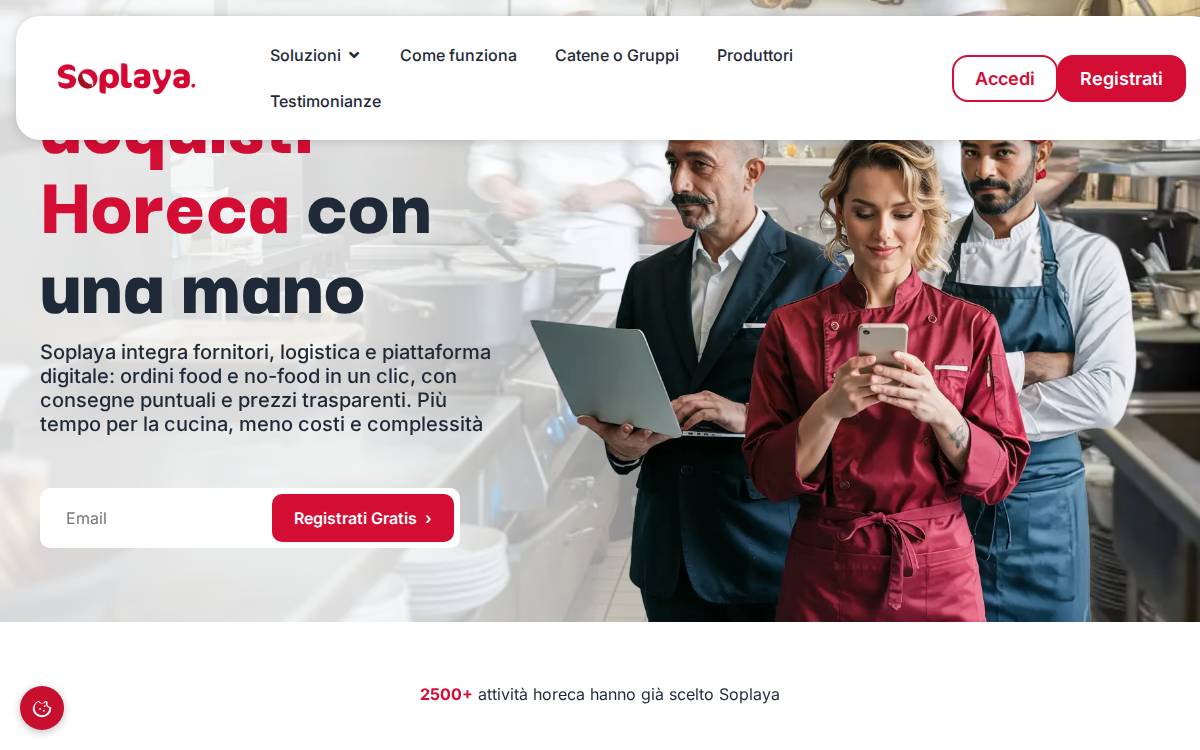 Soplaya website preview