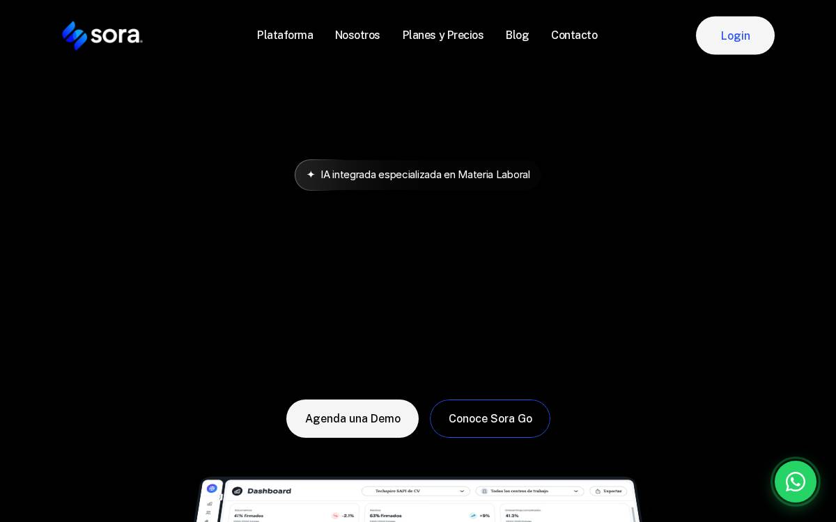 Sora website preview