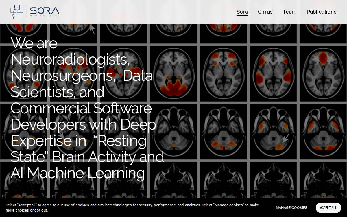Sora Neuroscience website preview