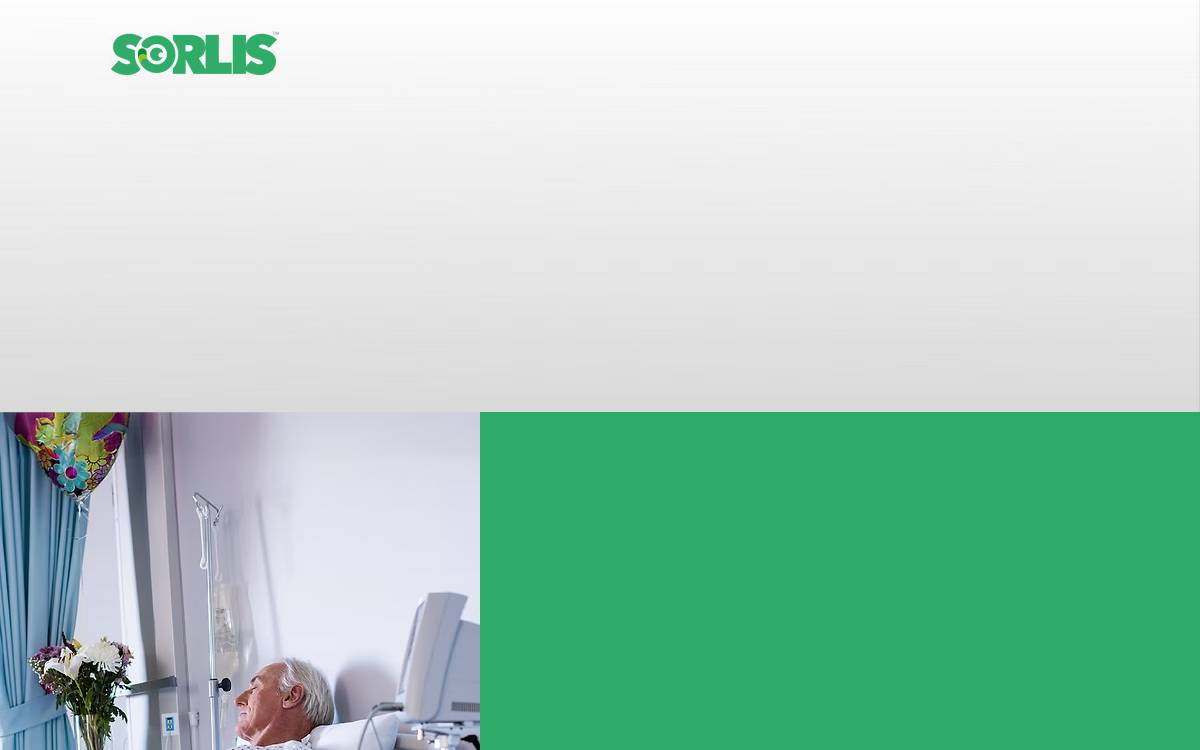 sorlis website preview