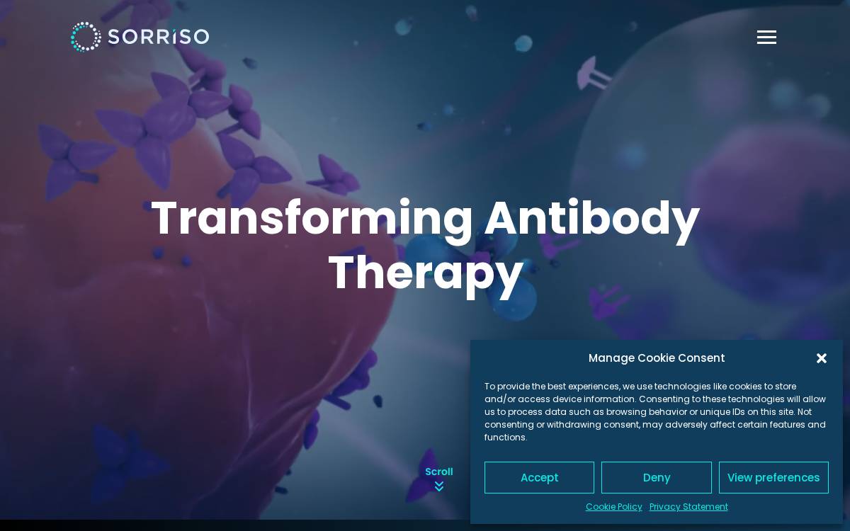 Sorriso Pharmaceuticals website preview