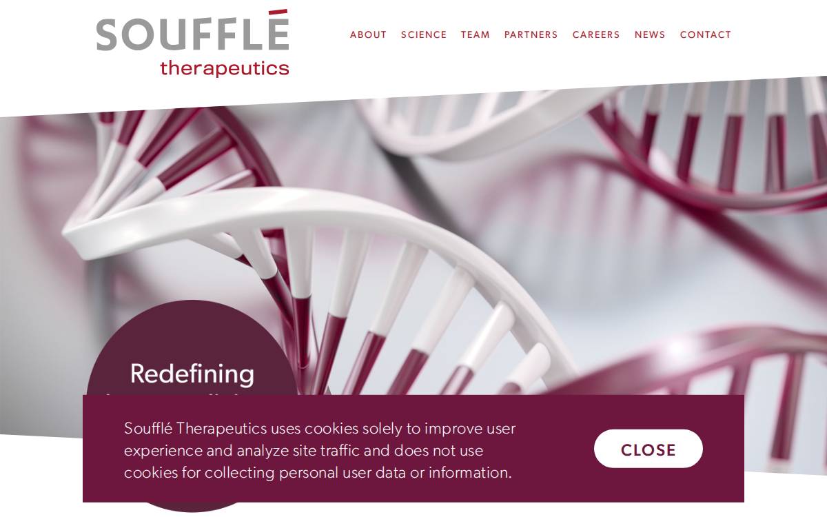 Soufflé Therapeutics website preview