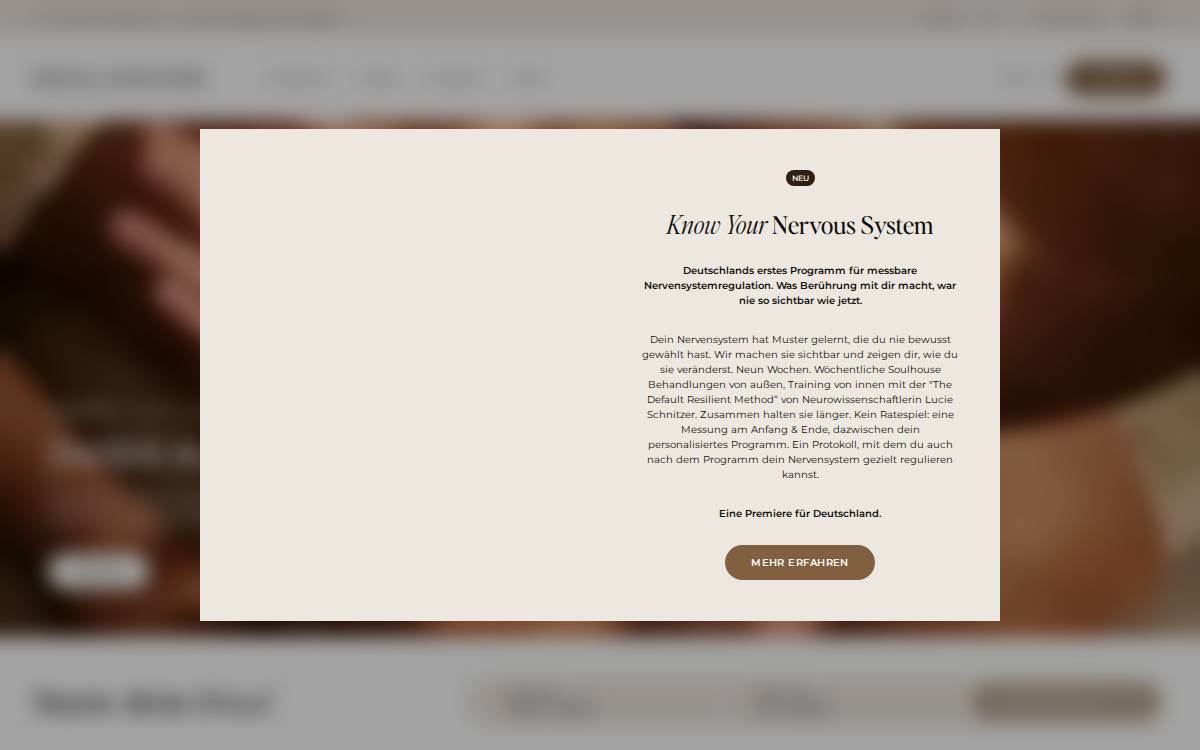 Soulhouse website preview